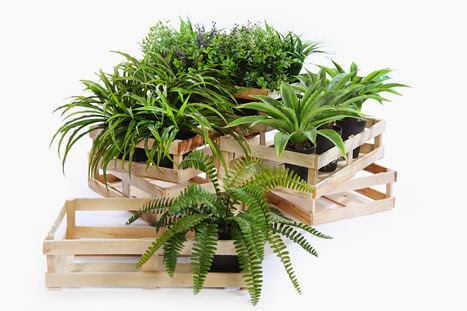 Cajas de madera y plantas artificiales