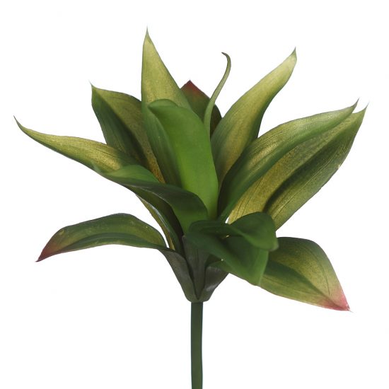Plantas crasas artificiales