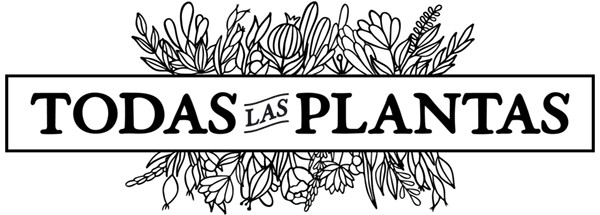 Todas las plantas – Blog