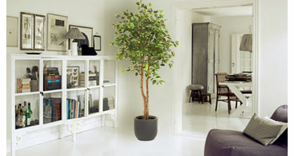 Algunas ideas para decorar con plantas artificiales