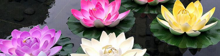 Flores flotantes y faroles para decorar piscinas