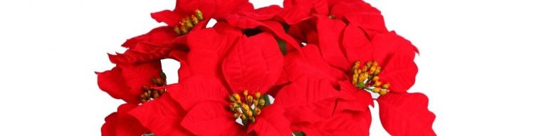 IDEAS PARA DECORAR MACETAS CON PLANTAS ARTIFICIALES