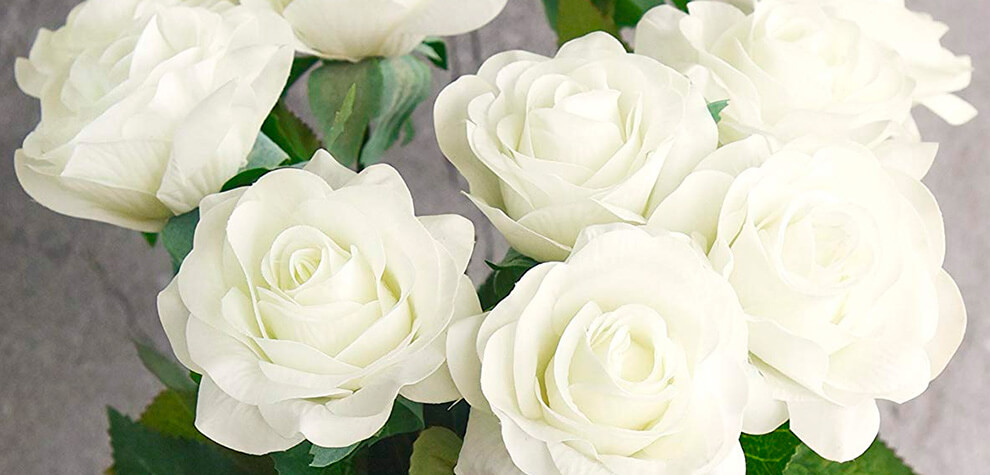 rosas blancas regalo