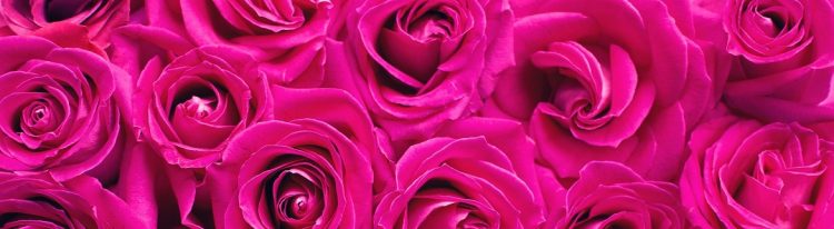 Las mejores flores artificiales para regalar en San Valentín