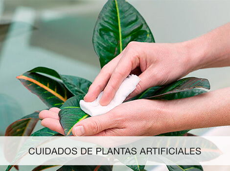 Cuidados plantas artificiales