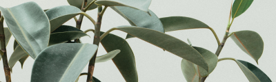 Planta artificial exterior