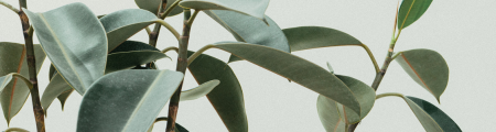 Planta artificial exterior