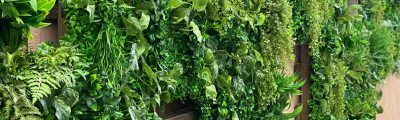 jardin vertical