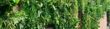 jardin vertical