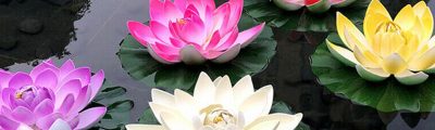 Flores-flotantes-y-faroles-para-decorar-piscinas