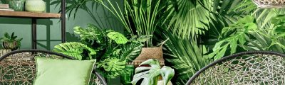 Cómo crear un ambiente tropical con plantas artificiales