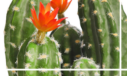 Cactus artificiales
