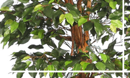 Artificiales exterior