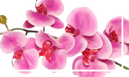 Orquideas artificiales